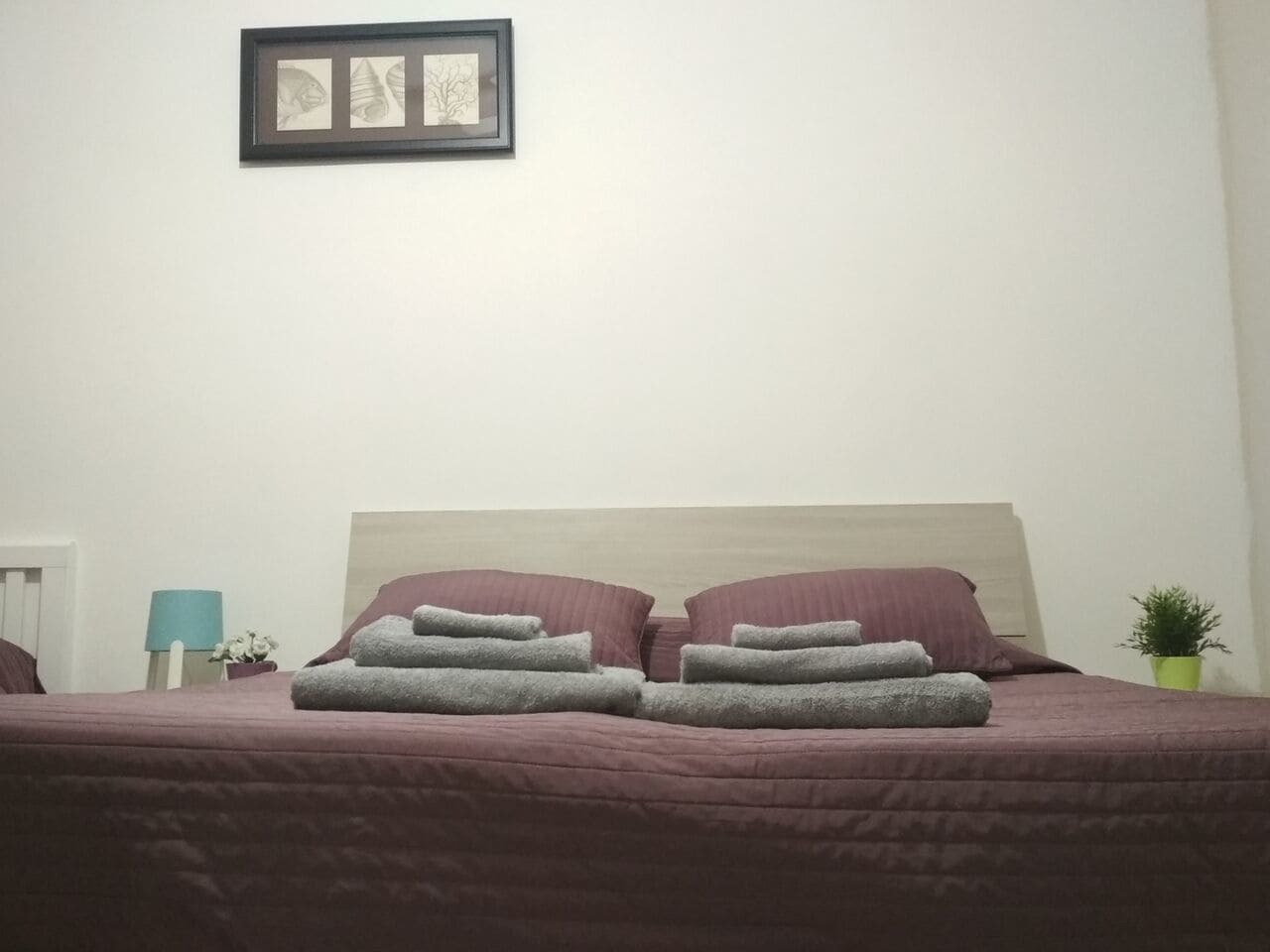 Start-Line Airport Pisa Bed & Breakfast Luaran gambar